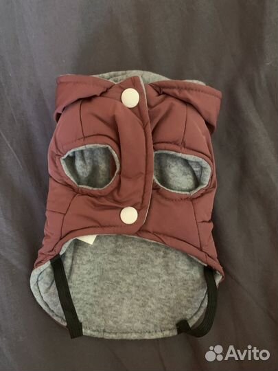 Одежда для собак мелких пород