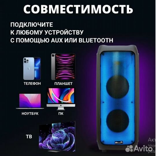 Портативная колонка Eltronic 20-61