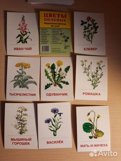 Раздаточные карточки