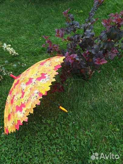 Зонт осенний для фотосессии