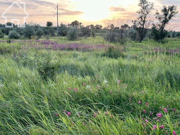 Участок 10 сот. (СНТ, ДНП)