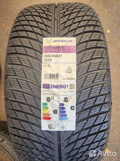 Michelin Pilot Alpin 5 265/35 R21 и 305/30 R21 101V