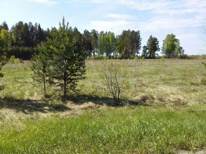 Участок 15 сот. (СНТ, ДНП)