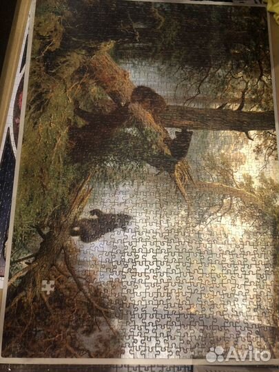 Пазл Утро в сосновом лесу