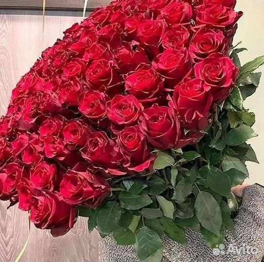 Розы Букеты Цветы Розы 31 101 151 201 Доставка