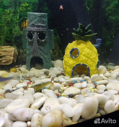 Фигурки Спанч Боб и 3 домика
