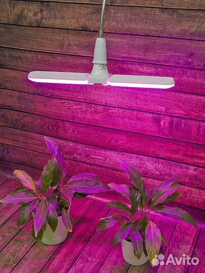 Фитолампа для растений uniel LED-P65-16W