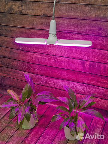 Фитолампа для растений uniel LED-P65-16W