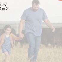 Сельскохозяйственное агентство в городе, Анкара