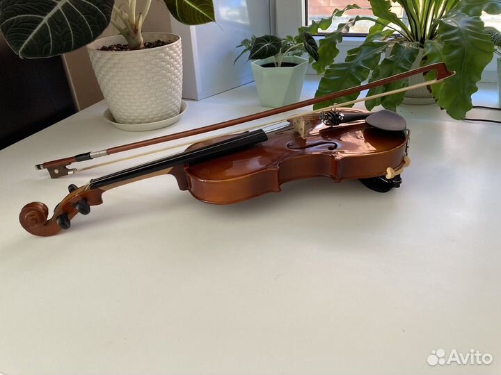Скрипка 1 2