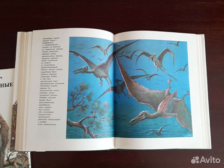 Книги о животных для детей