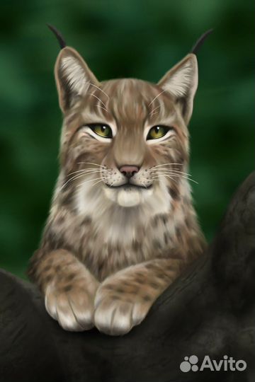 Рисунок и портрет на заказ. Художник-Иллюстратор