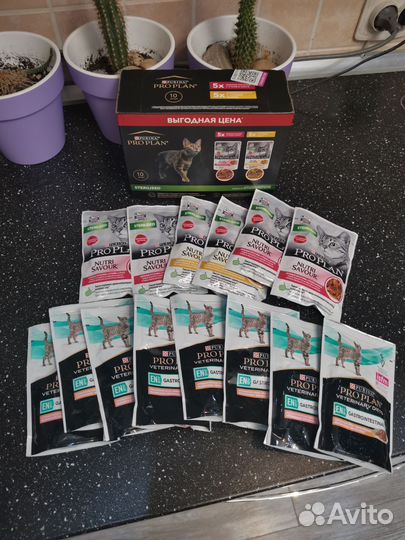 Корм для кошек проплан паучи