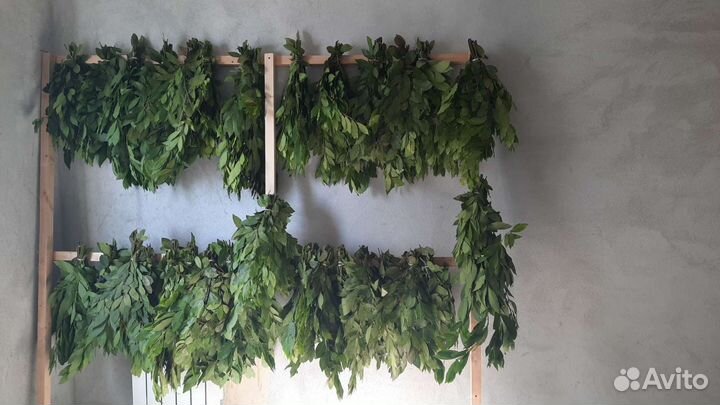 Лавровый лист