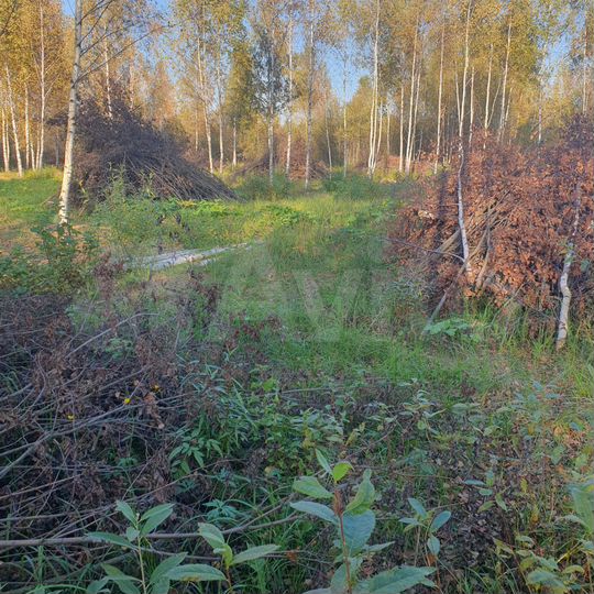 Участок 30 сот. (ИЖС)