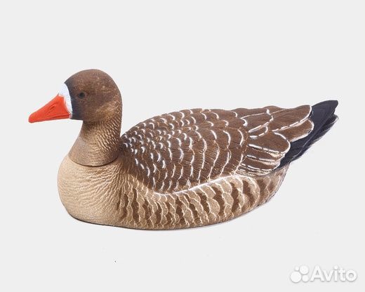 Чучело для охоты Белолобый гусь (рельеф)