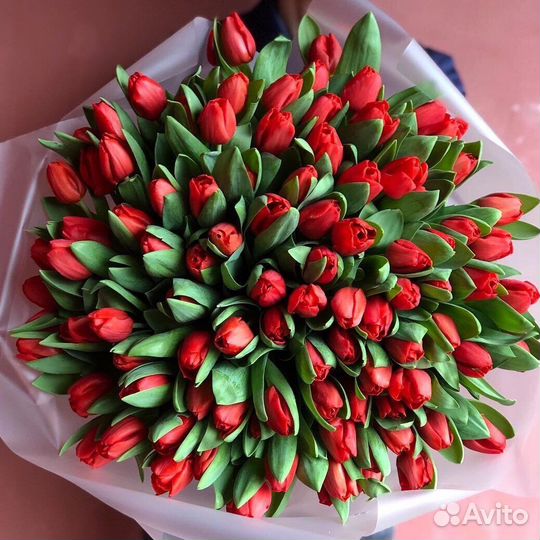 Букет из красных сортовых тюльпанов 43 шт