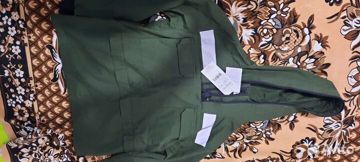 Инцефалитка