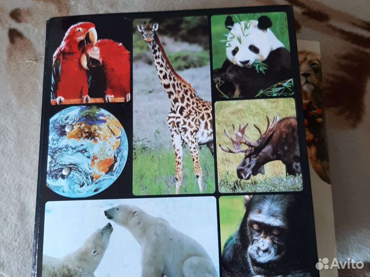 Энциклопедия В мире дикой природы