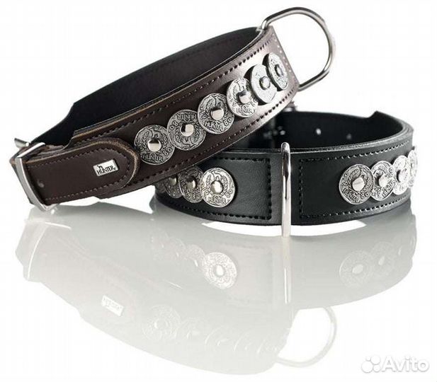 Ошейники для собак