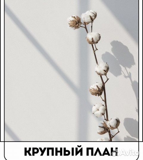 Плакаты постеры