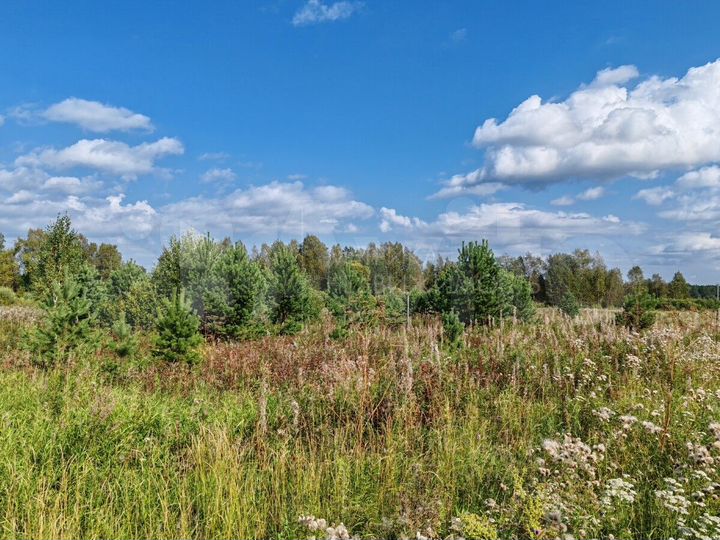 Участок 9 га (СНТ, ДНП)