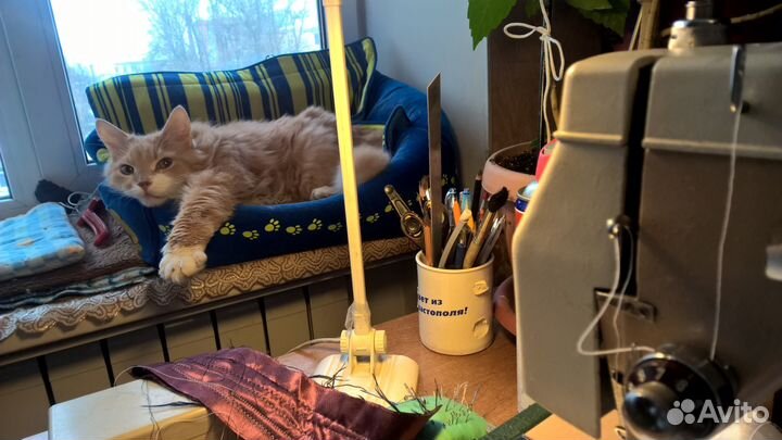 Ремонт швейных машин