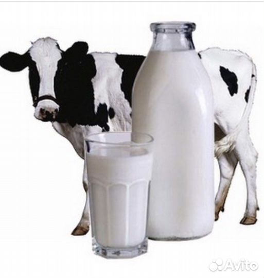 Молоко коровье домашнее