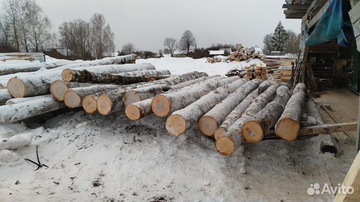 Лес кругляк береза