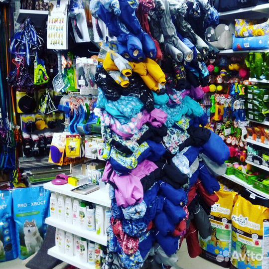 Одежда для собак