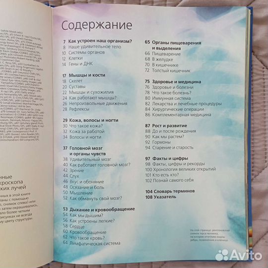 Энциклопедия Человек