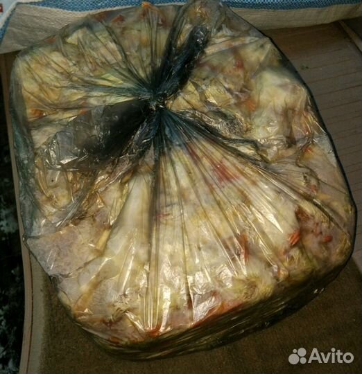 Цыплята суточные кормовые