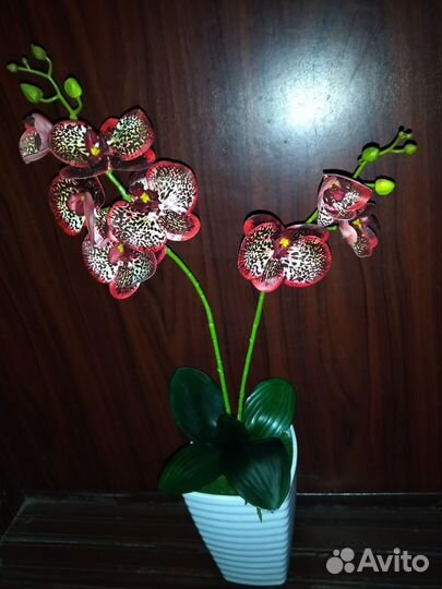 Орхидея фаленопсис, искуственная