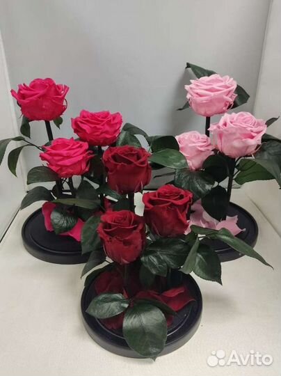 Роза в колбе оптом и в розницу