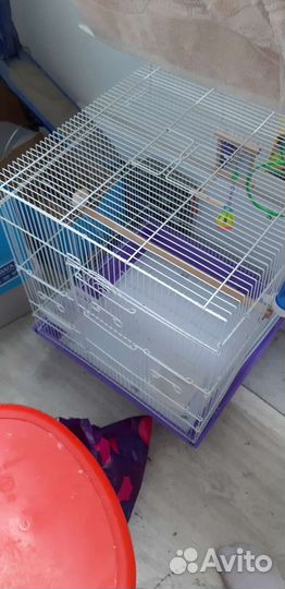 Клетка для попугая
