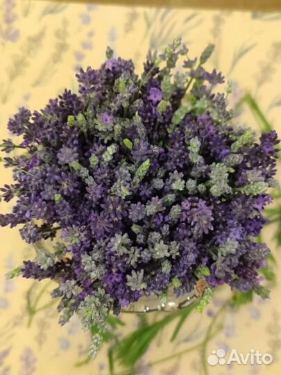 Букетик лаванды