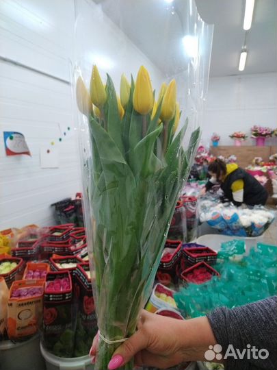 Тюльпаны к 8 марта