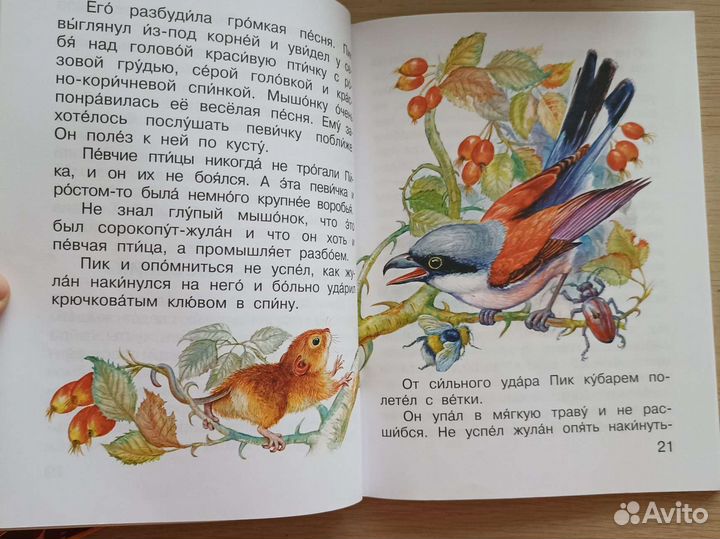Серия книг 