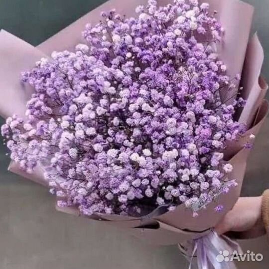 Букет из цветной Гипсофилы 5шт