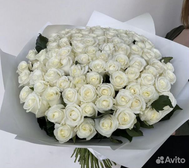 51 роза цветы букеты