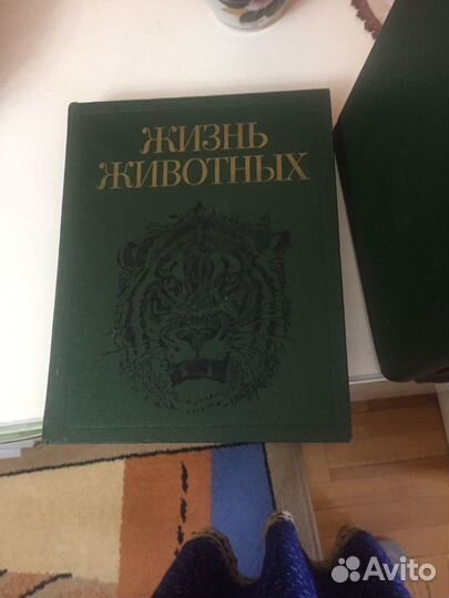 Книги 6 томов Жизнь животных