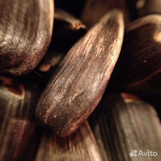 Макрообъектив для смартфона