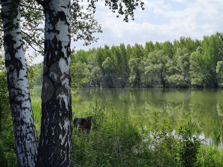 Участок 6 сот. (СНТ, ДНП)