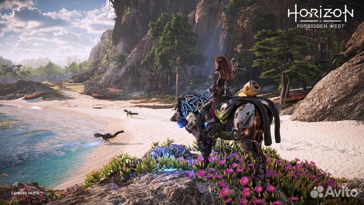 Horizon Forbidden West PS4/PS5