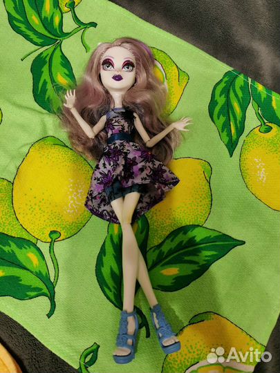 Куклы монстр Хай катрин Клео Клавдия гулия клоди