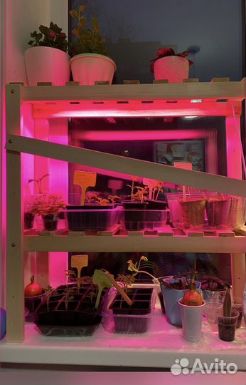 Этажерка новая, для рассады, растений, и обуви