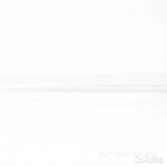 Виниловая пластинка Foo Fighters - But Here We Are