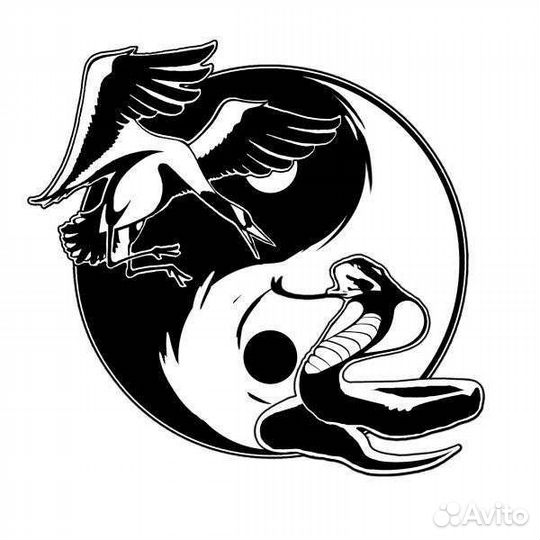 Тренер по Вин-чун (Кунг-фу)