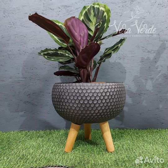 Кашпо idealist для комнатных растений