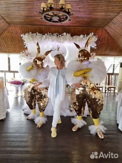 Ведущий Ведущая Музыкант DJ